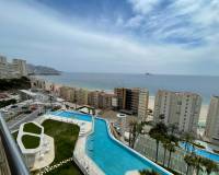 Langzeitmiete - Wohnung - Benidorm - Poniente