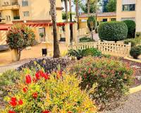 Location longue durée - Appartement - Alfaz del Pi - Albir