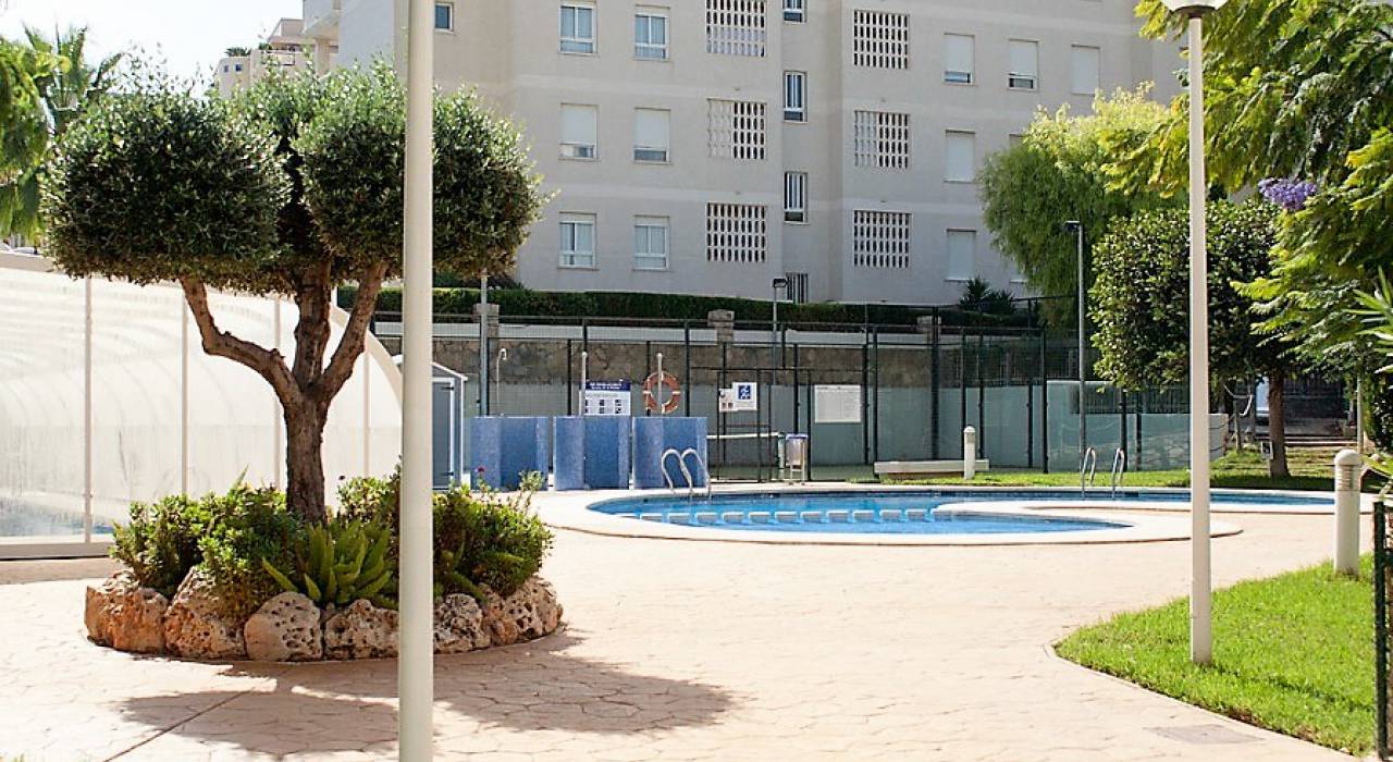 Location longue durée - Appartement - El Albir