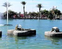 Long term Rental - Apartment/Flat - Torrevieja - Centro