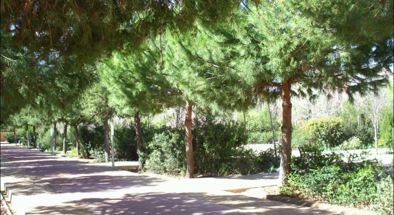 Long term Rental - Apartment/Flat - Valencia - Benicalap