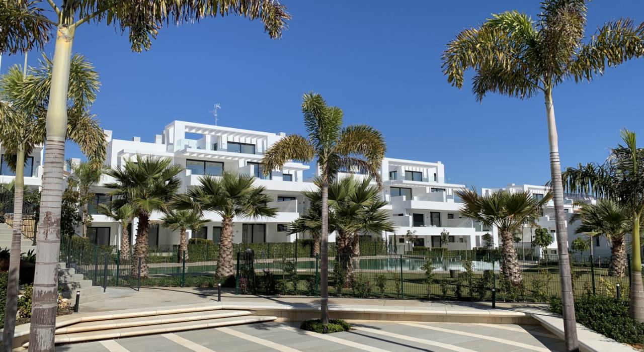 Nouvelle construction - Appartement - Estepona