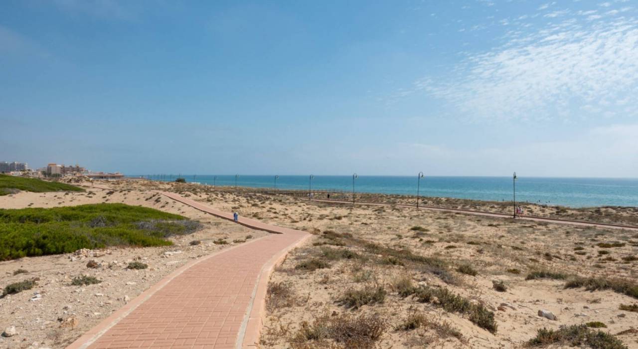 Новостройка - Апартамент - Torrevieja - La Mata