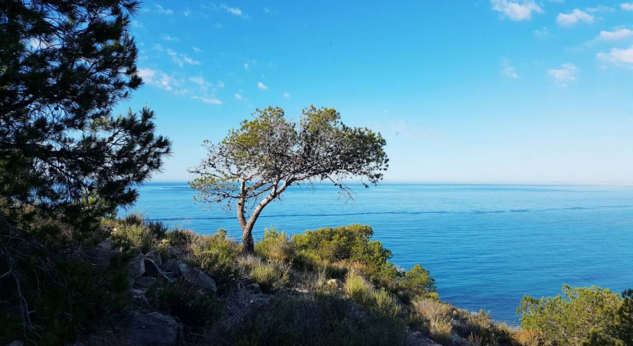 Новостройка - Таунхаус - Villajoyosa - Playa del Torres