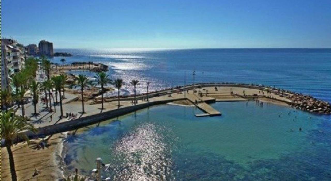 Новостройка - Вилла - Torrevieja - Aguas Nuevas