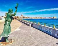 Новостройка - Вилла - Torrevieja - Aguas Nuevas