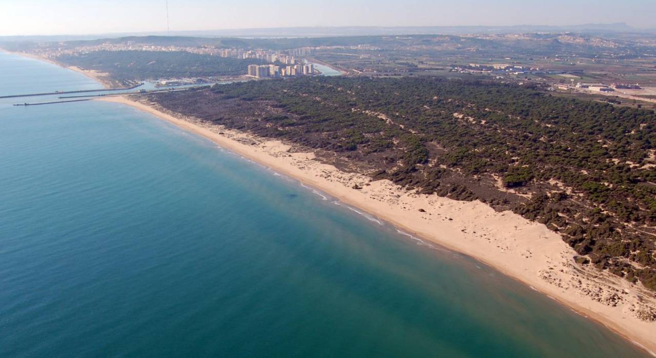 Nueva construcción  - Ático - Guardamar del Segura - PUERTO