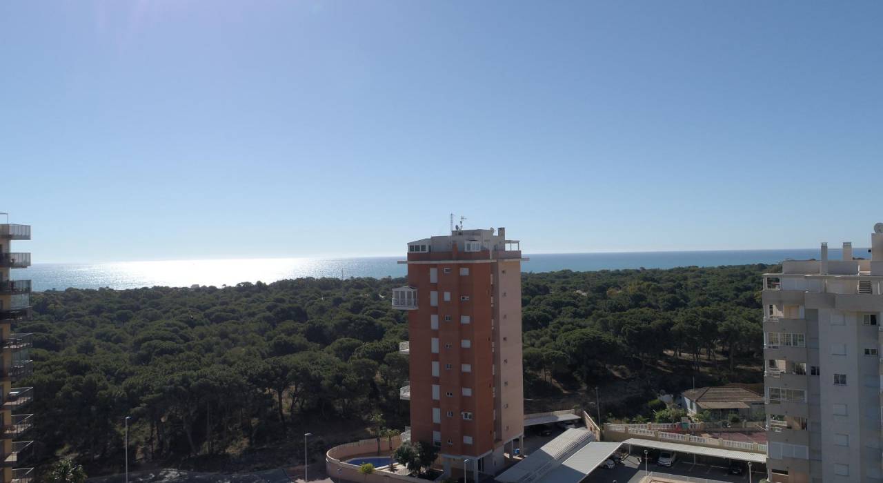 Nybygg - Penthouse - Guardamar del Segura - Pueblo