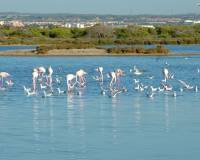 Nýbygging - Raðhús - San Pedro del Pinatar - El Salero