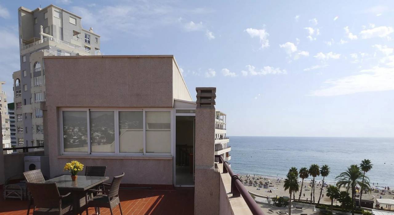 Pierwotny - Apartament - Calpe - Playa de la Fossa