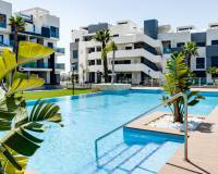 Pierwotny - Apartament - Guardamar del Segura - El Raso