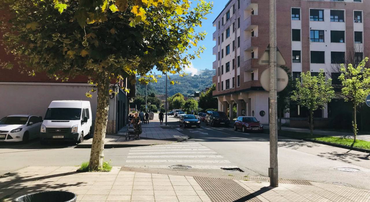 Sala - íbúð - San Martín del Rey Aurelio - El Entrego