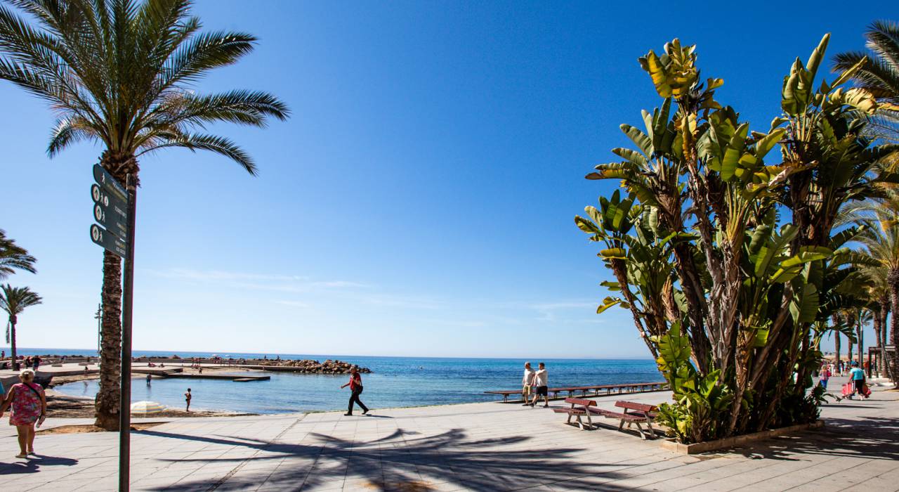 Sala - íbúð - Torrevieja - Centro