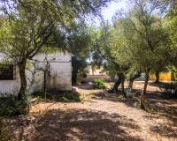 Sale - Chalet - Barbate - Zahora 