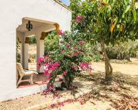 Sale - Villa - Vejer de la Frontera - San Ambrosio