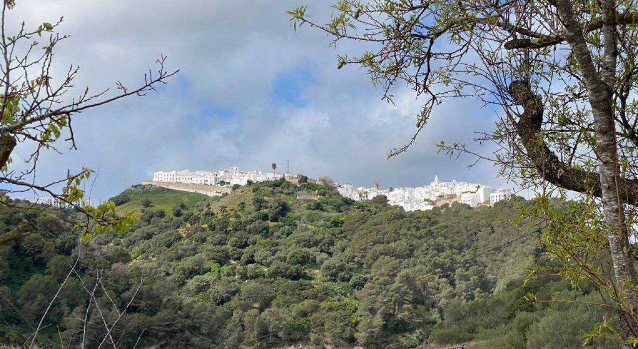 Salg - Kommersiell eiendom - Vejer de la Frontera - El Palmar