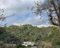 Salg - Kommersiell eiendom - Vejer de la Frontera - El Palmar