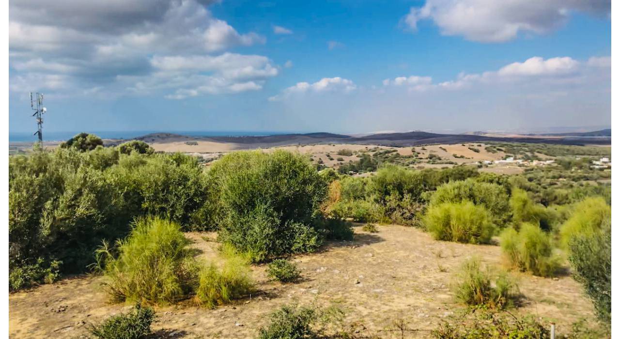 Salg - Villa - Vejer de la Frontera - San Ambrosio