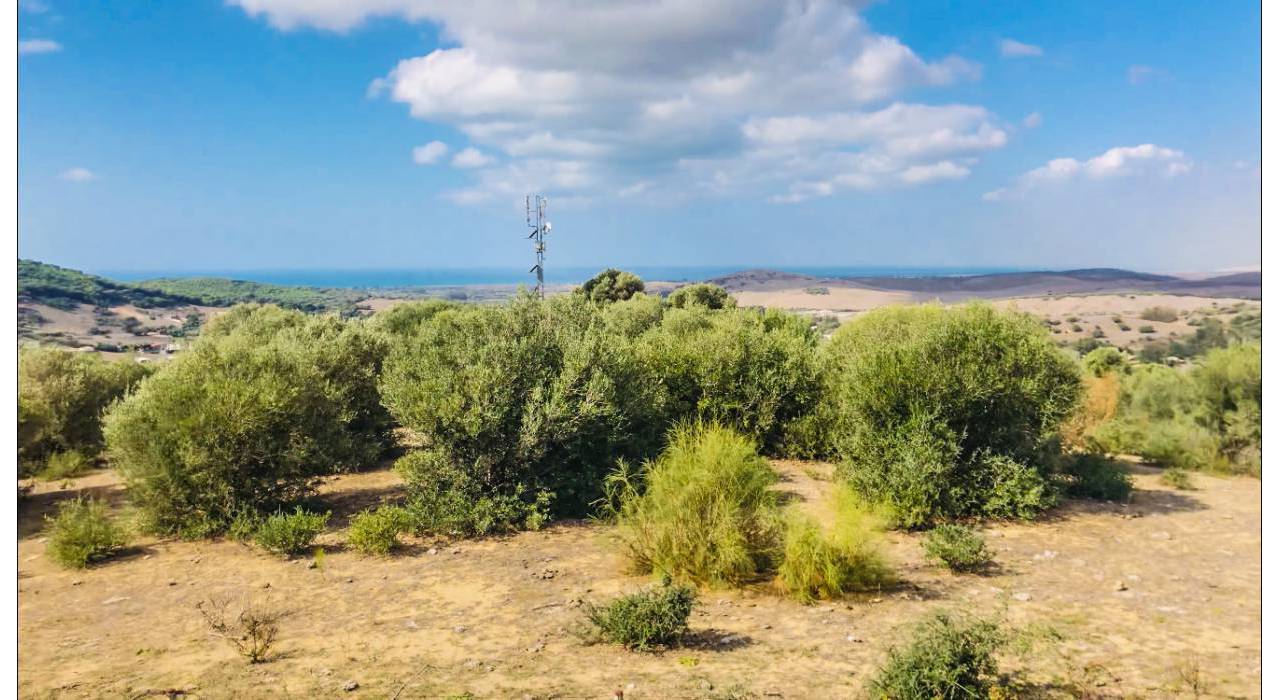 Salg - Villa - Vejer de la Frontera - San Ambrosio