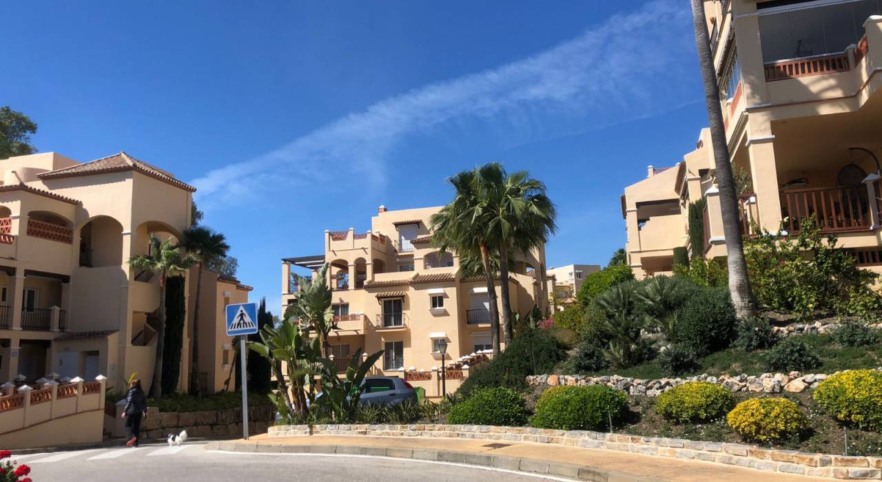 Venta - Apartamento/Piso - San Pedro de Alcantara