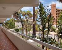 Venta - Apartamento/Piso - Tenerife - Playa de Las Americas