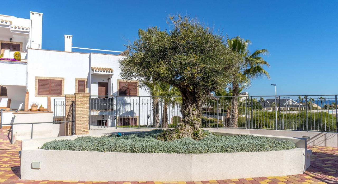 Venta - Bungalow - Torrevieja - La Mata