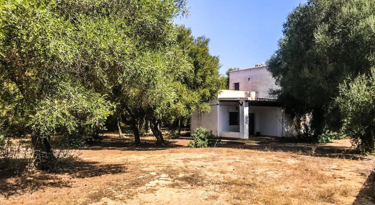 Venta - Chalet - Barbate - Zahora 