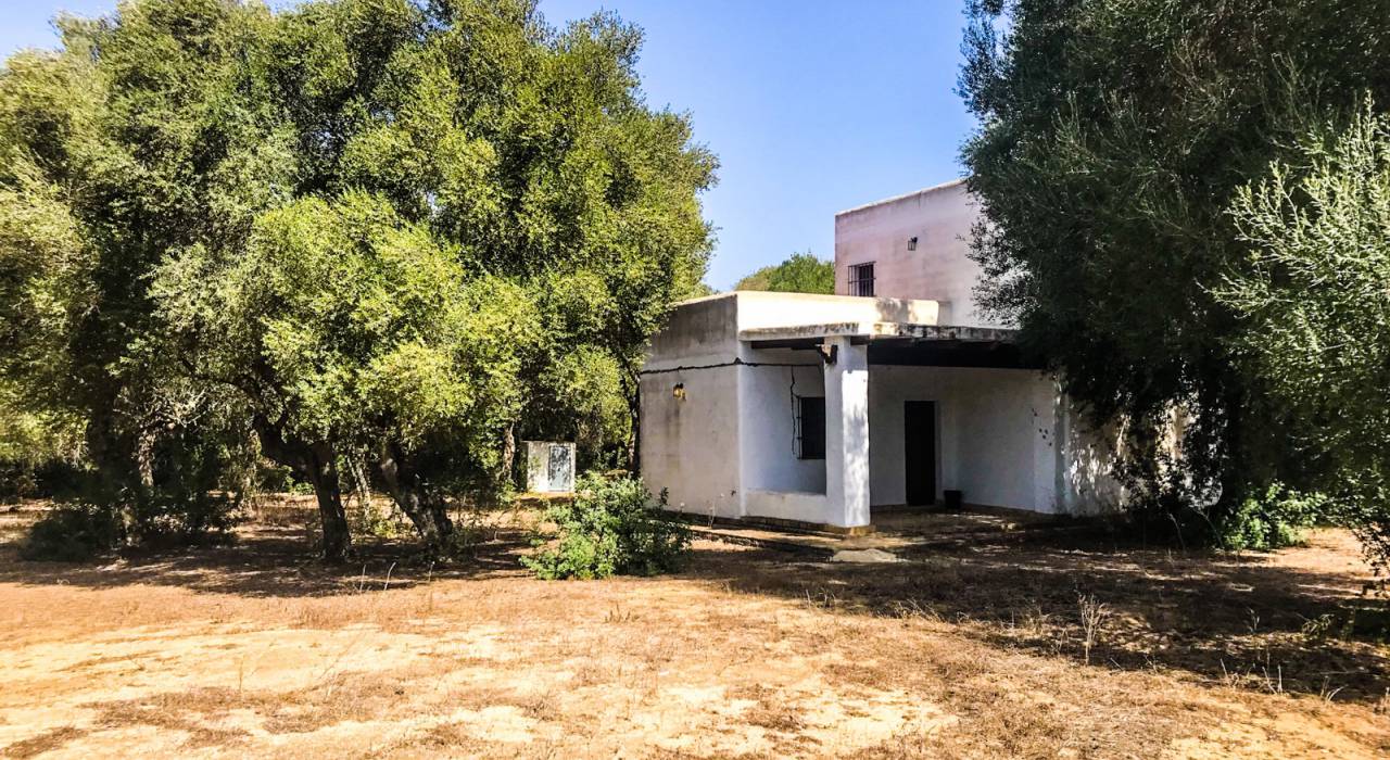 Venta - Chalet - Barbate - Zahora 