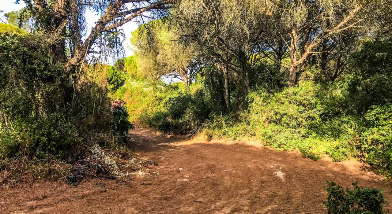 Venta - Parcela - Vejer de la Frontera - La Muela