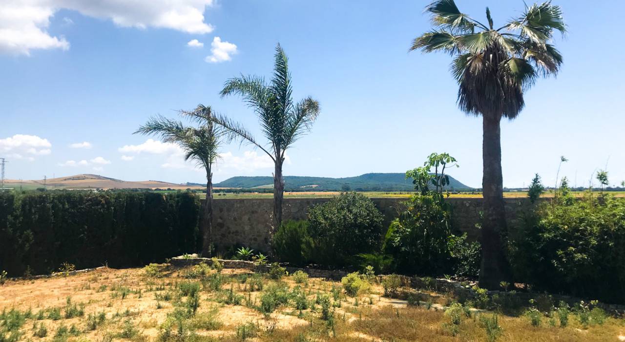 Venta - Villa - Vejer de la Frontera - El Palmar