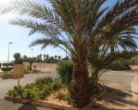 Vente - Appartement - Torrevieja - Cabo Cervera