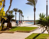 Vente - Appartement - Torrevieja - Centro