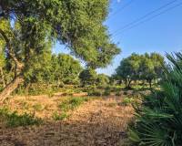 Vente - Terrain - Vejer de la Frontera - La Muela