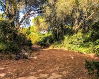 Vente - Terrain - Vejer de la Frontera - La Muela