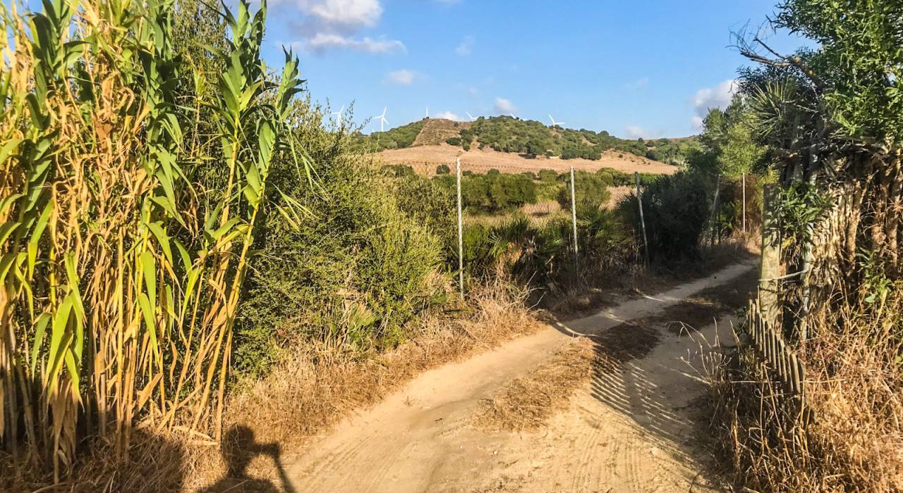 Verkauf - Chalet - Vejer de la Frontera - San Ambrosio