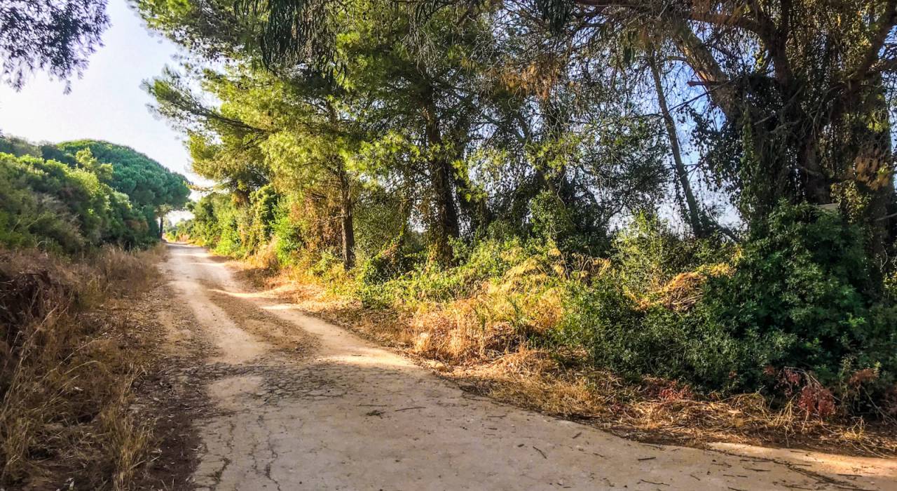 Verkauf - Handlung - Vejer de la Frontera - La Muela