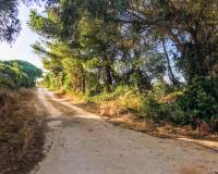 Verkauf - Handlung - Vejer de la Frontera - La Muela