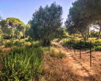 Verkauf - Handlung - Vejer de la Frontera - La Muela