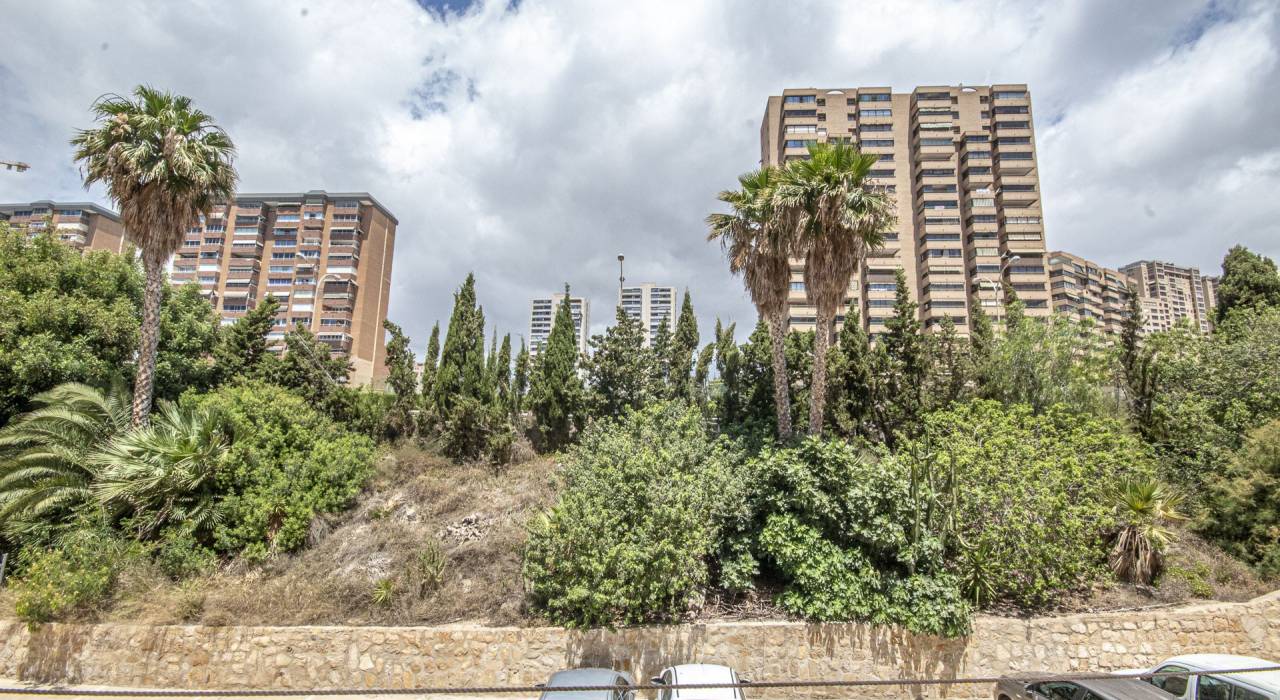 Verkauf - Wohnung - Benidorm - Levante