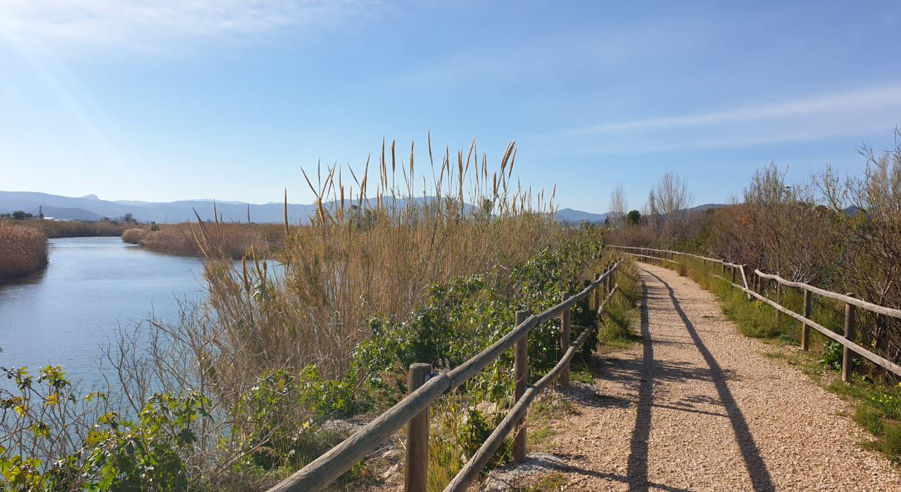 Вторичный рынок - Апартамент - Gandía - Grao y Playa