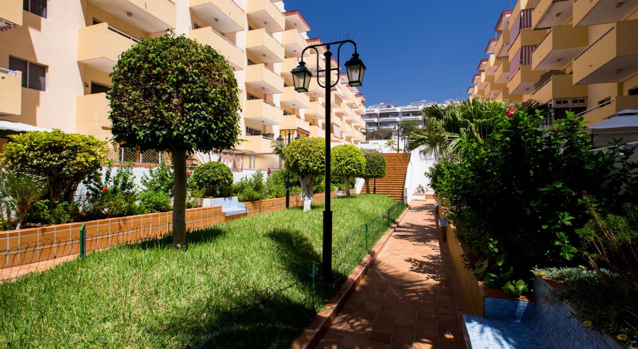 Wtórny - Apartament - Tenerife - Los Cristianos