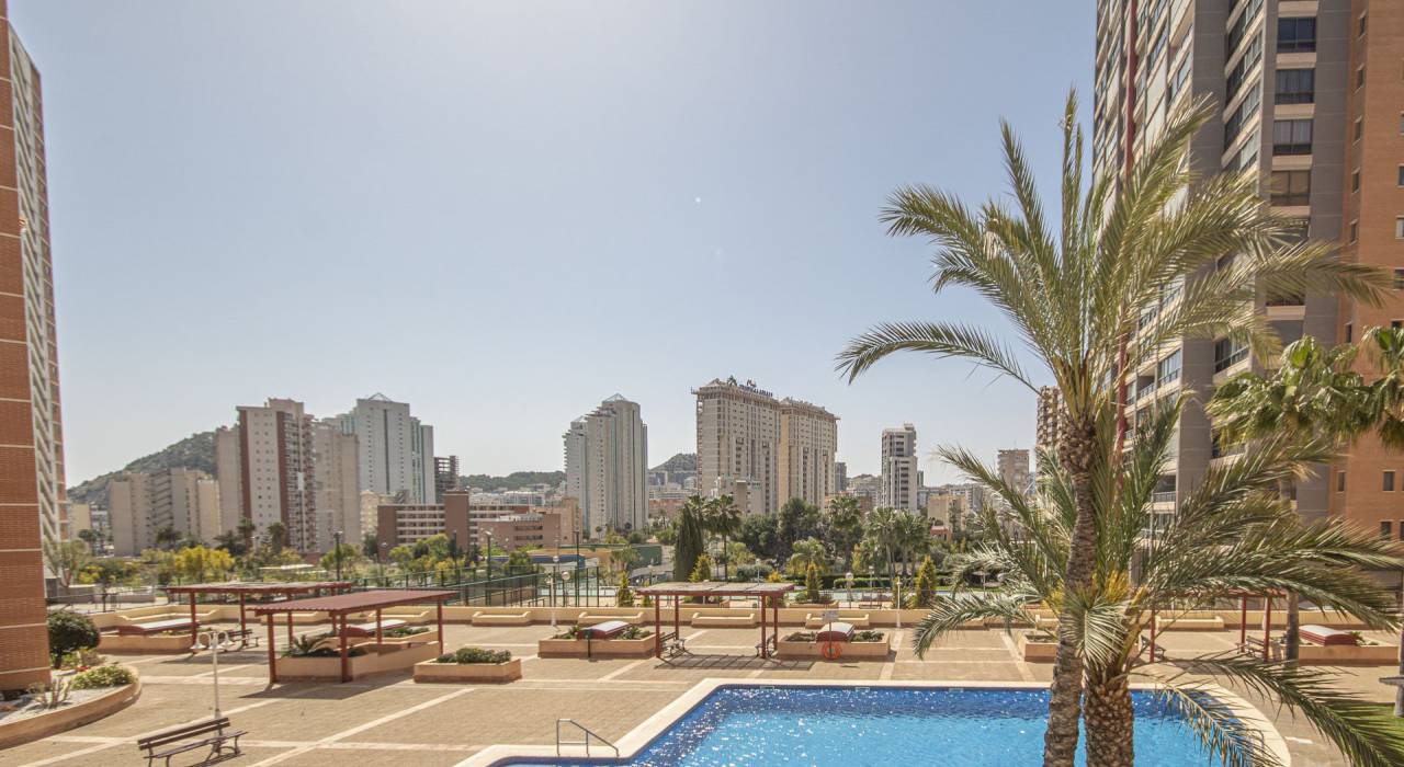 Wtórny -  - Benidorm - Poniente