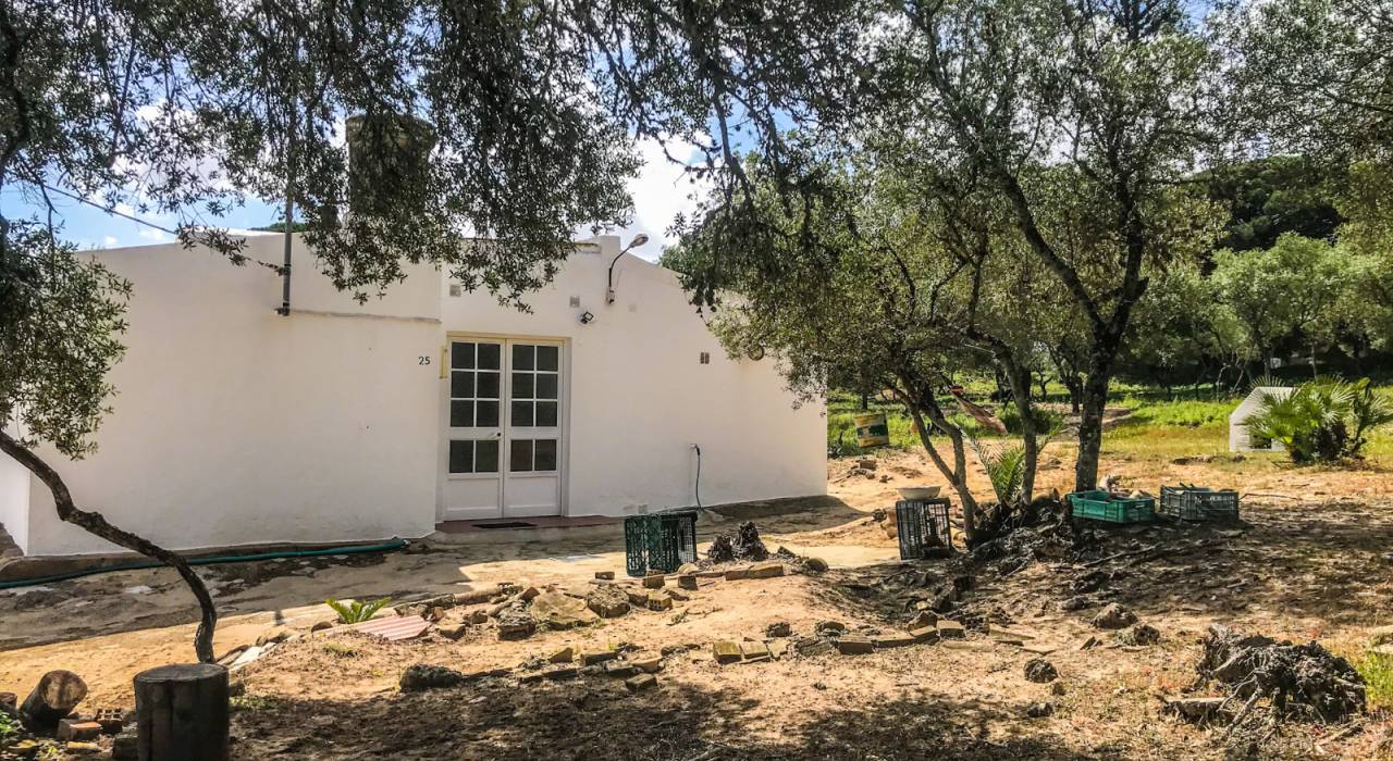 Wtórny - Chalet - Vejer de la Frontera - El Soto