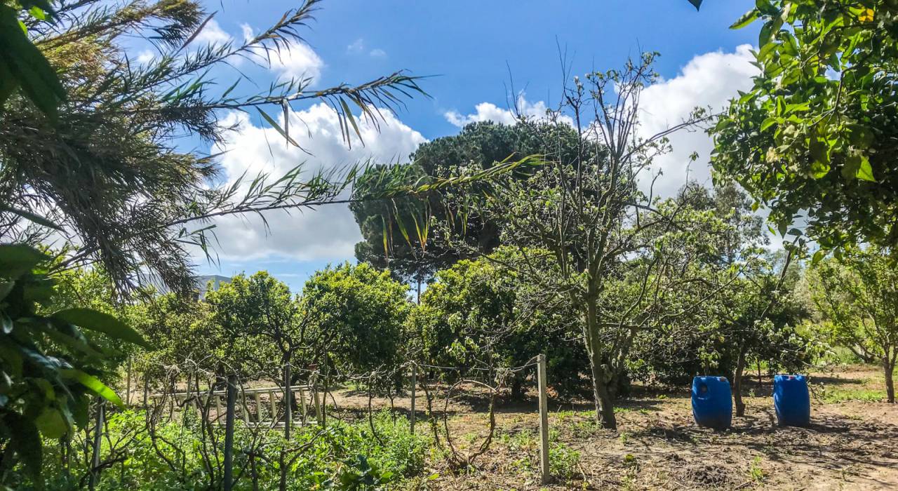 Wtórny - Chalet - Vejer de la Frontera - El Soto