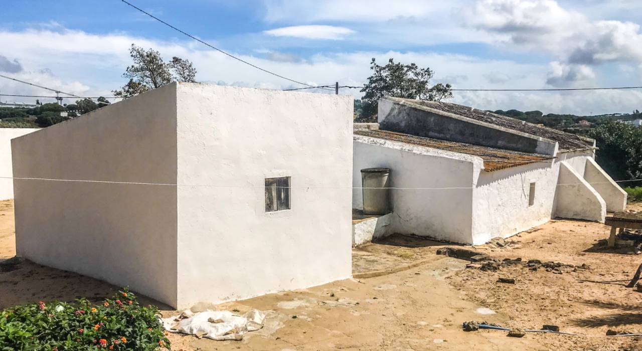 Wtórny - Chalet - Vejer de la Frontera - El Soto