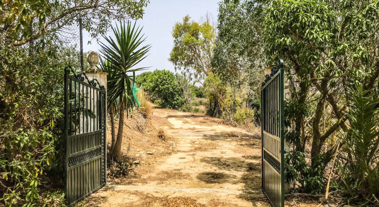 Wtórny - Willa - Vejer de la Frontera - San Ambrosio