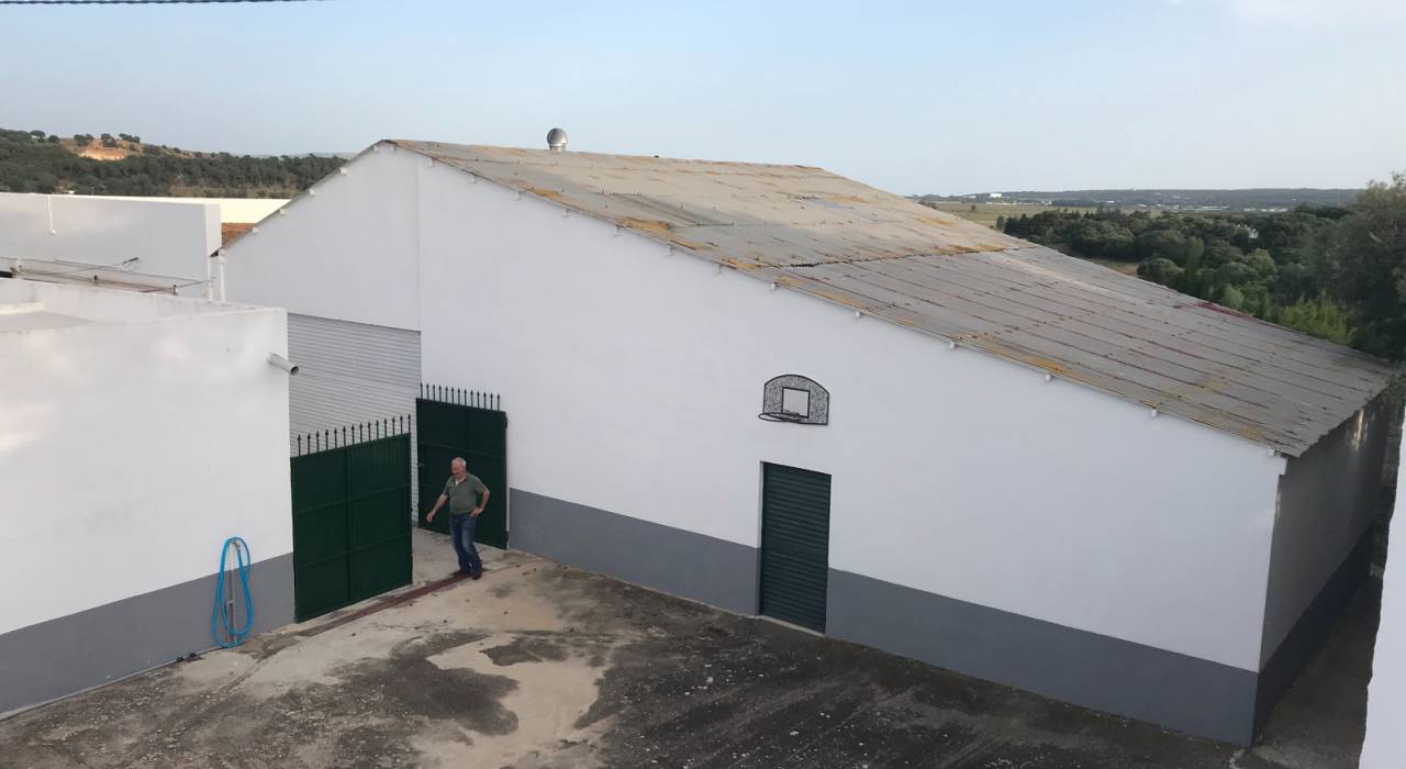 Wtórny - Własność handlowa - Vejer de la Frontera - El Palmar