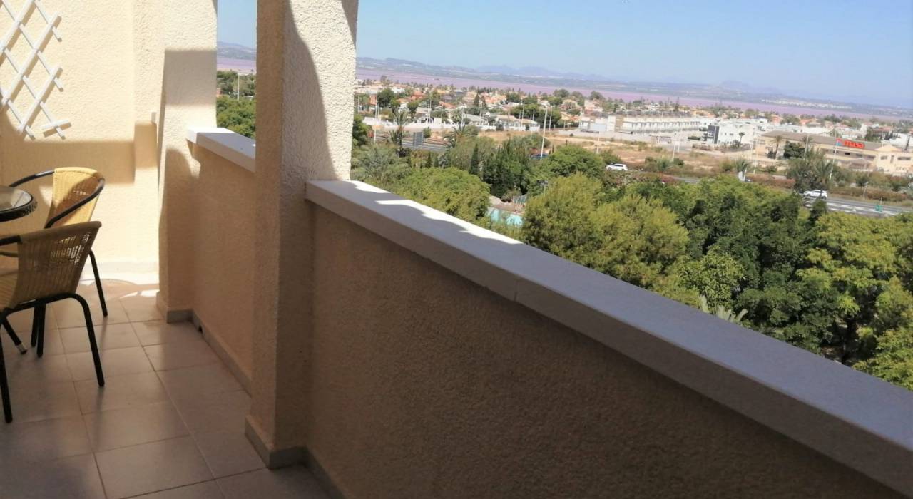 Wynajem na długi czas - Apartament - Torrevieja - Centro