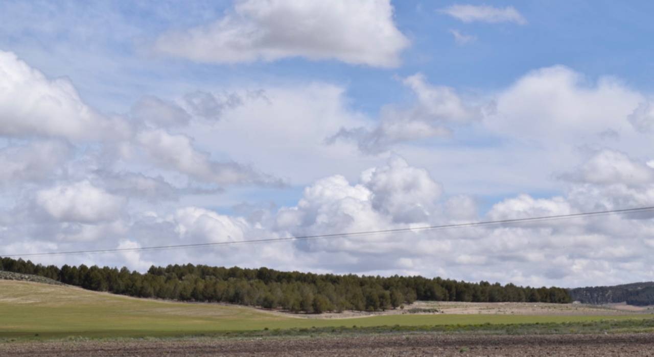 Wynajem na długi czas - Dom - Castile-La Mancha - Ontígola