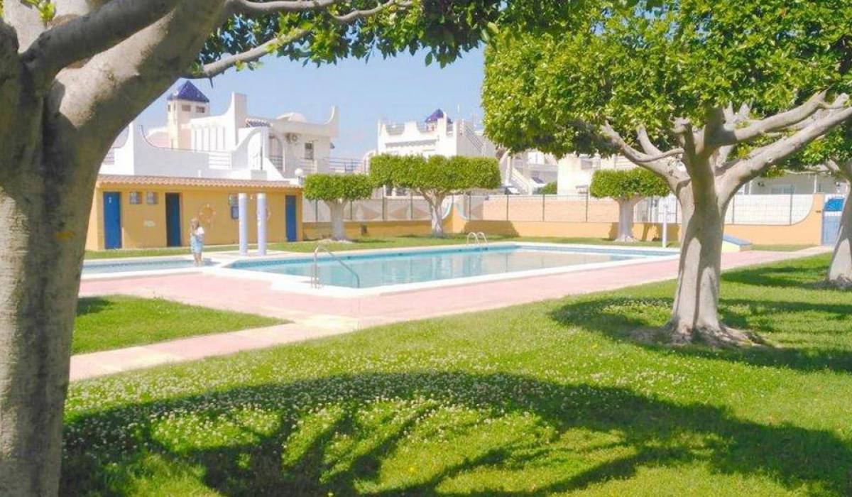 Have you heard about our apartments for sale in Torrevieja?